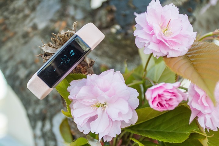 Fitbit-Alta-Pink-Band-Flowers