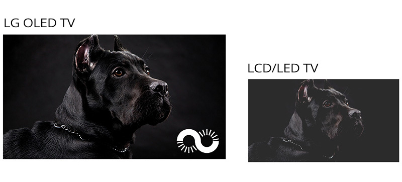 LG OLED TV’s ability to produce deeper blacks (left) create images with more vivid contrast and detail, compared to conventional LED TVs (right).